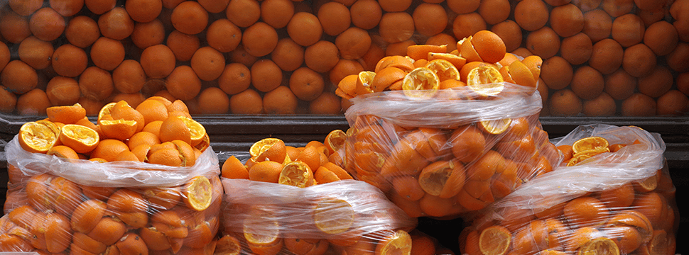 Food waste feature