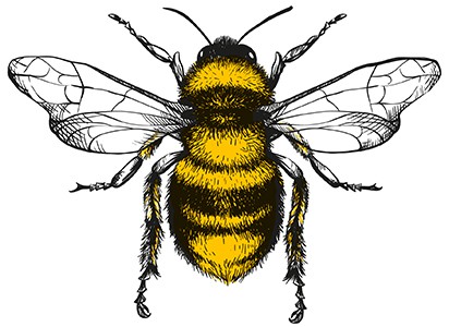 Can Technology Save the Bees? 1 Печать