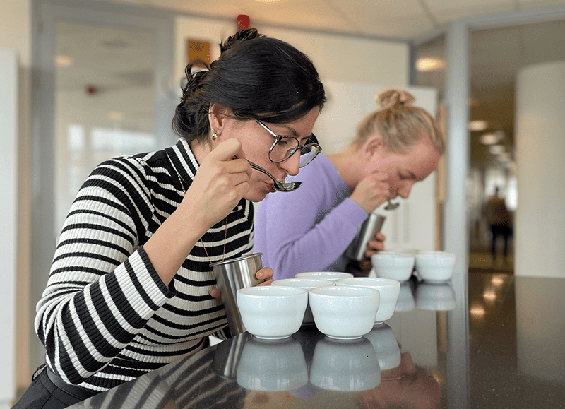 Stirred Up 10 coffee tasting