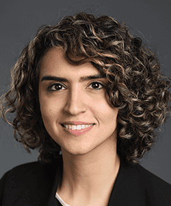 Faezeh Gholami